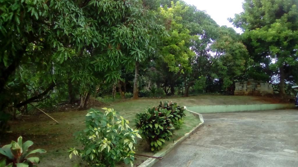 Griffiths Guest House White Hill Экстерьер фото